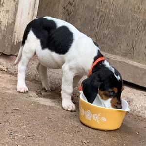 Meet your Posher, Jake